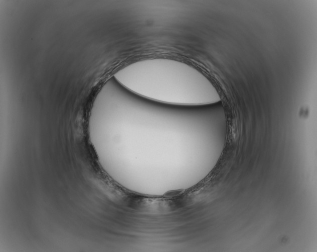 X0000091340520200708171413