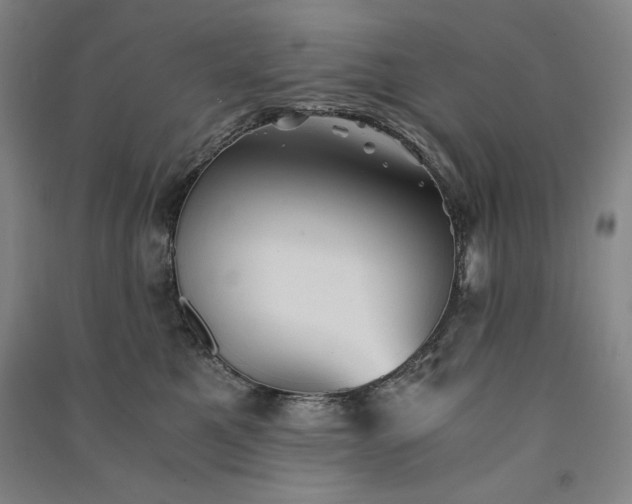 X0000091340521200708171413