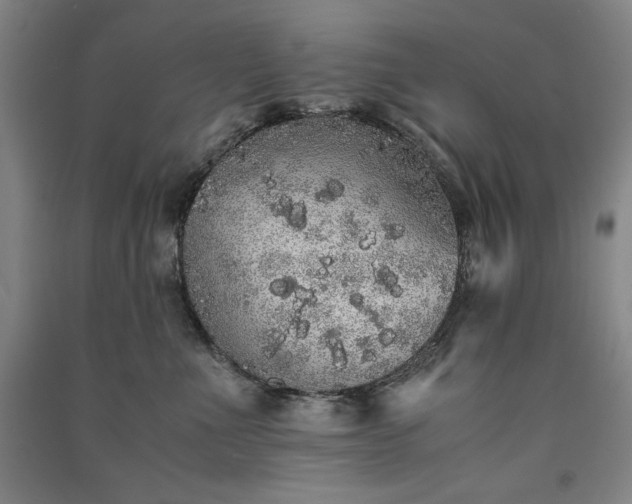 X0000091340523200708171413