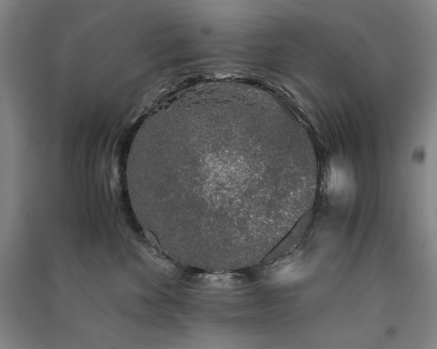 X0000091340524200708171413