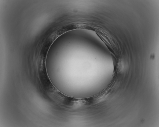 X0000091340525200708171413