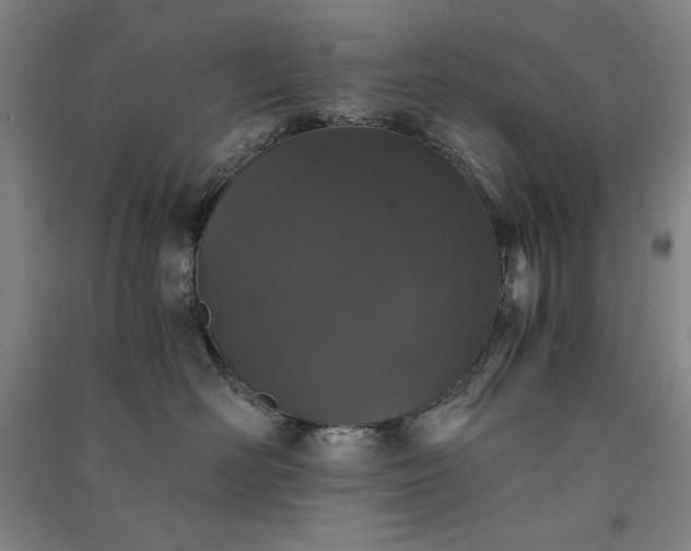 X0000091340526200708171413