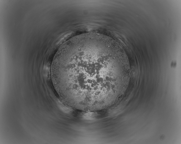 X0000091340527200708171413