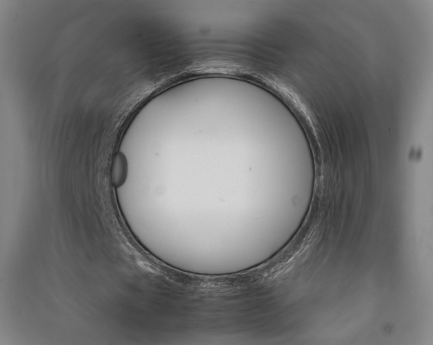 X0000091340529200708171412