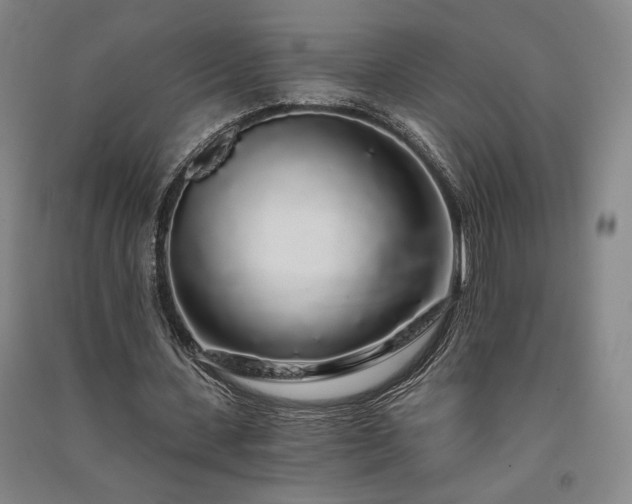 X0000091340531200708171412