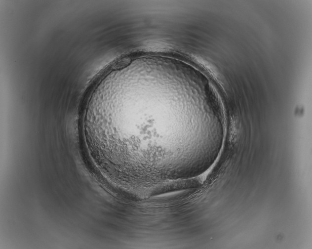 X0000091340535200708171413