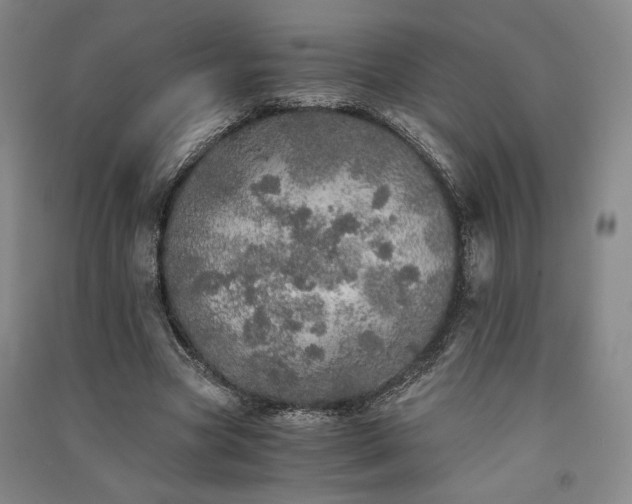 X0000091340537200708171413