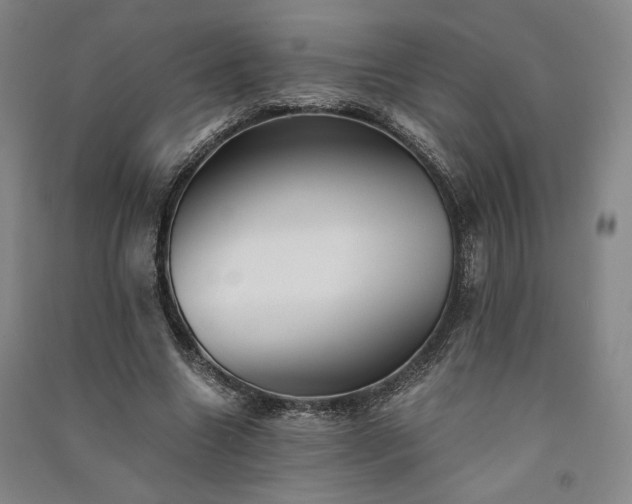 X0000091340538200708171413