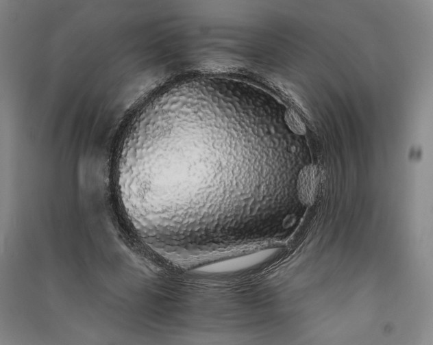 X0000091340539200708171413