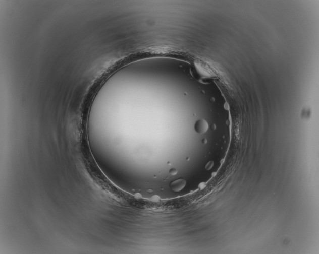 X0000091340540200708171413