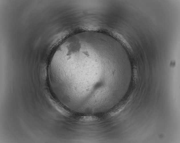 X0000091340541200708171413