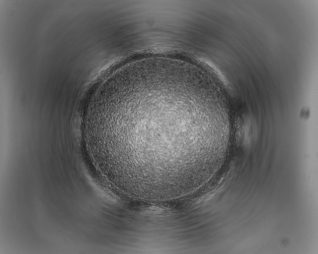 X0000091340542200708171413