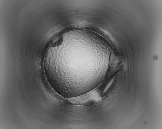 X0000091340543200708171413