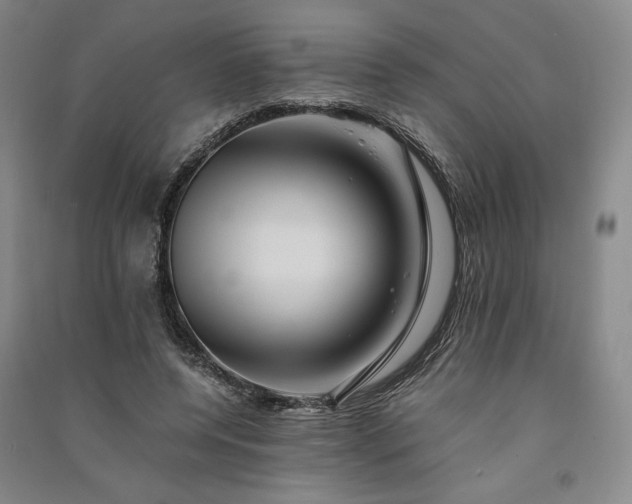 X0000091340544200708171413