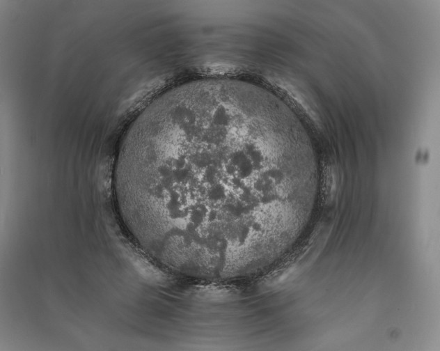 X0000091340545200708171413