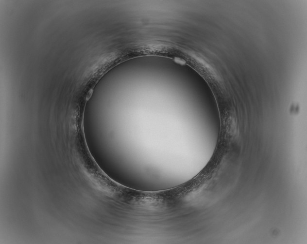 X0000091340546200708171413