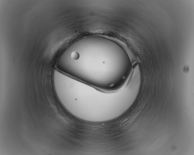 X0000091340547200708171413