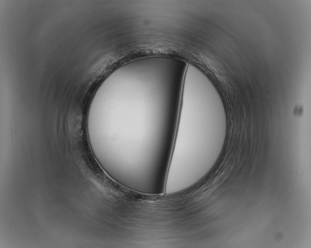 X0000091340548200708171413