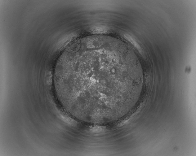 X0000091340549200708171413