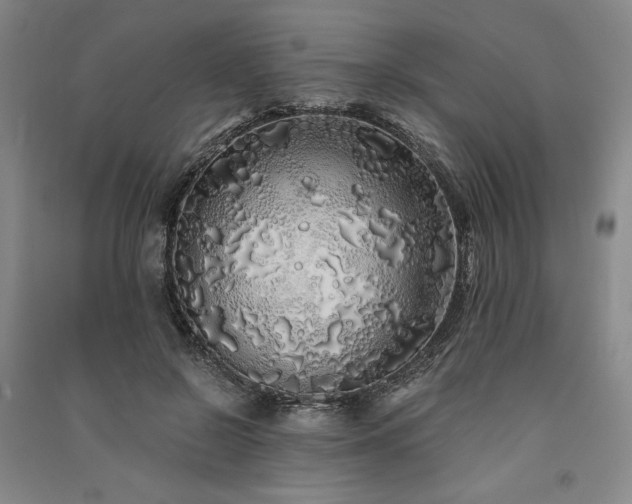 X0000091340550200708171413