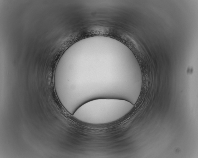 X0000091340553200708171413