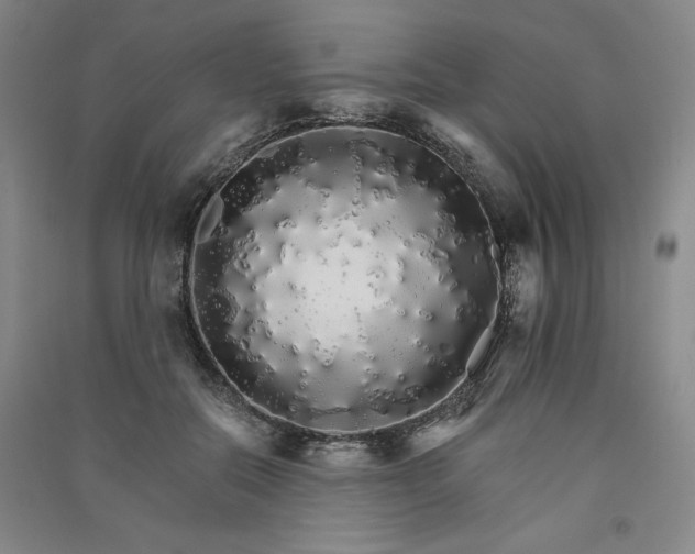 X0000091340554200708171413