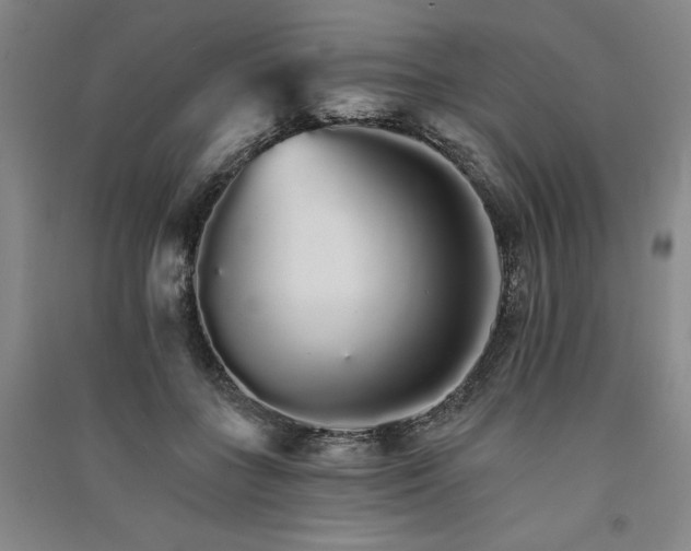 X0000091340555200708171413