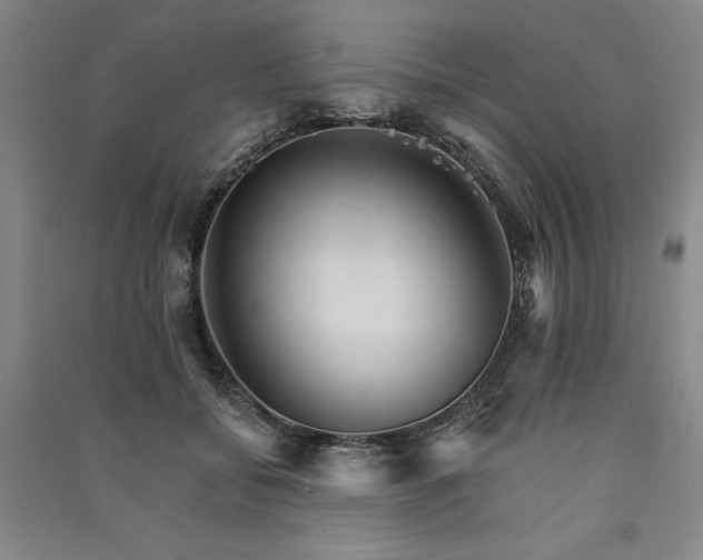 X0000091340556200708171413