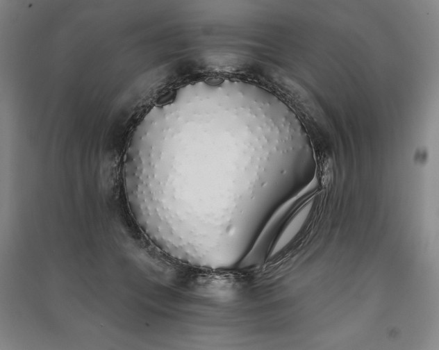 X0000091340559200708171413