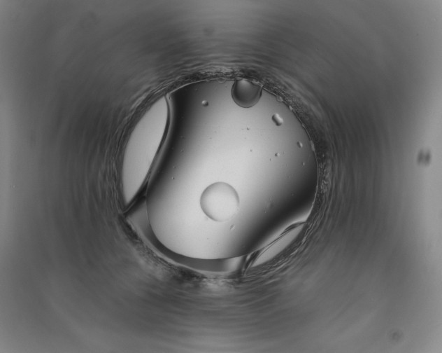 X0000091340560200708171413