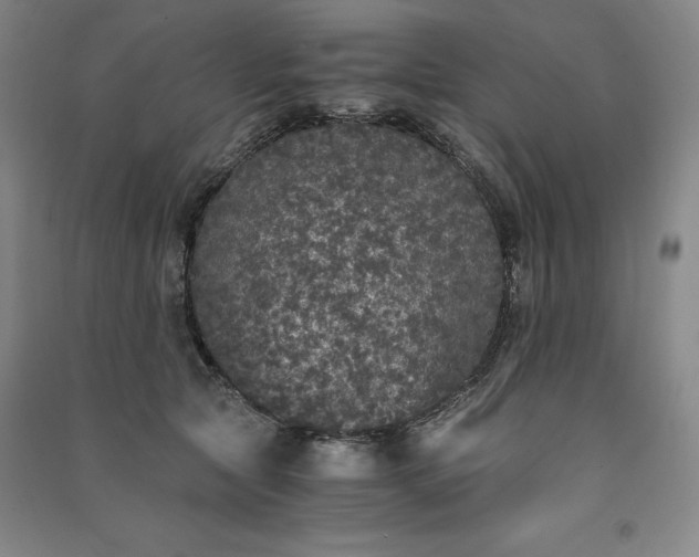 X0000091340561200708171413