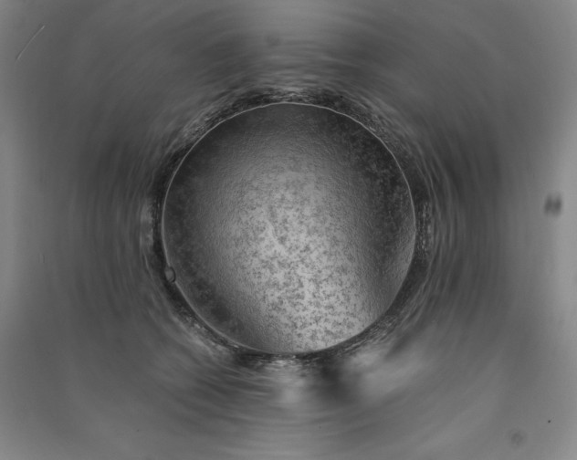 X0000091340562200708171413