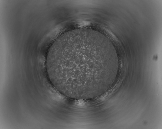 X0000091340565200708171413