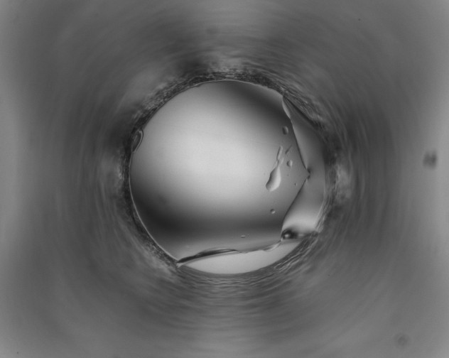 X0000091340566200708171413