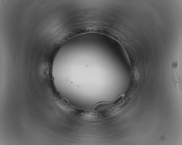 X0000091340567200708171413