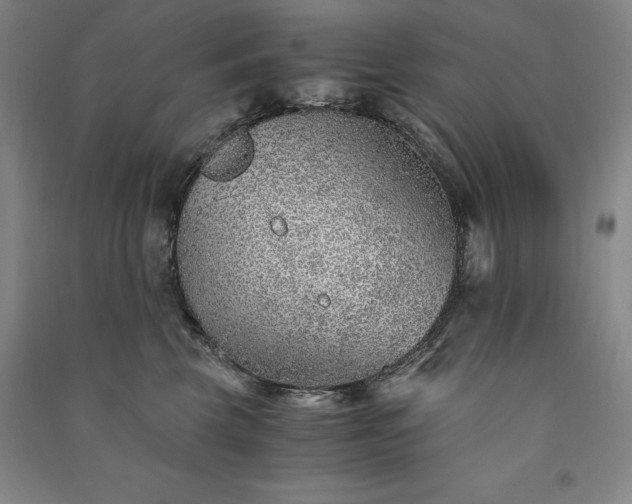 X0000091340569200708171413