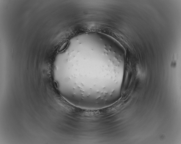 X0000091340571200708171413