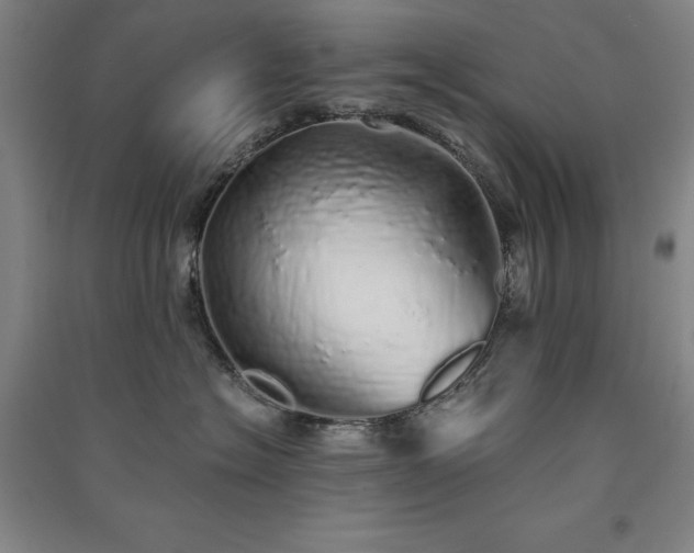 X0000091340574200708171413