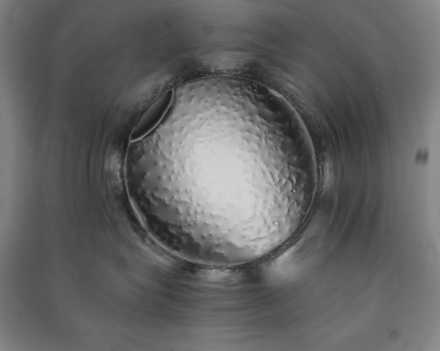 X0000091340575200708171413