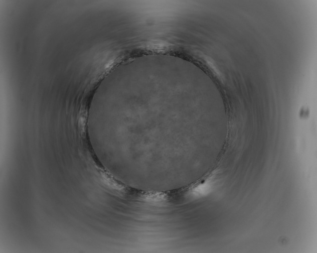 X0000091340576200708171413