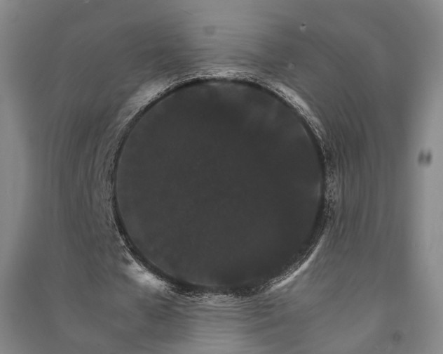 X0000091340577200708171412