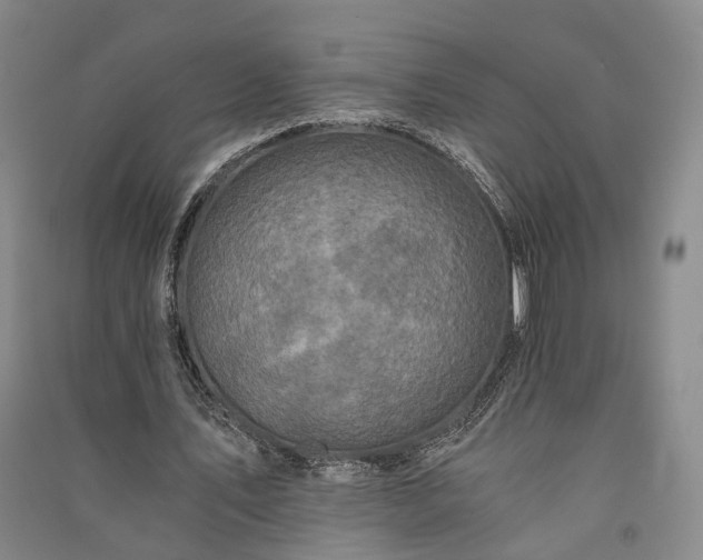 X0000091340579200708171412