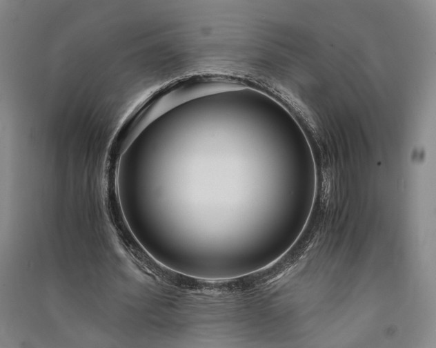 X0000091340580200708171412