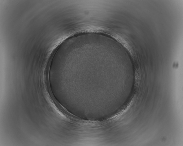 X0000091340581200708171412