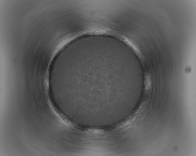 X0000091340582200708171412