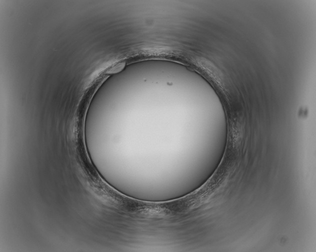 X0000091340583200708171412