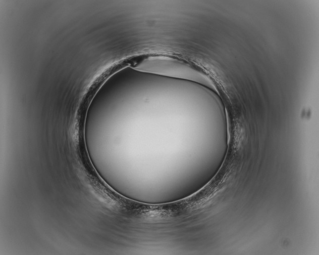 X0000091340584200708171412