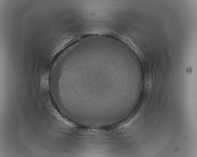 X0000091340585200708171412