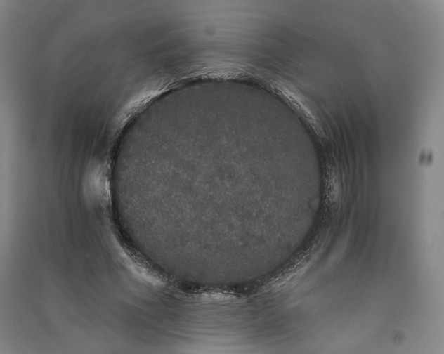 X0000091340586200708171412