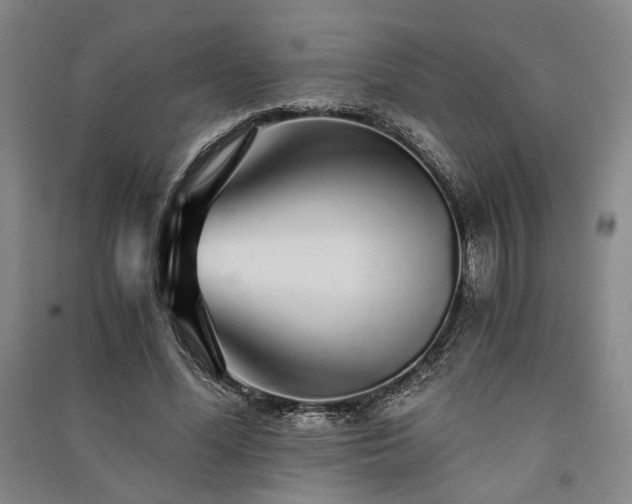 X0000091340588200708171412